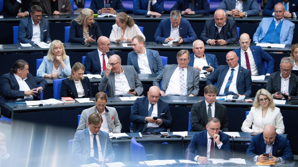 AfD will Jugendhilfe umbauen