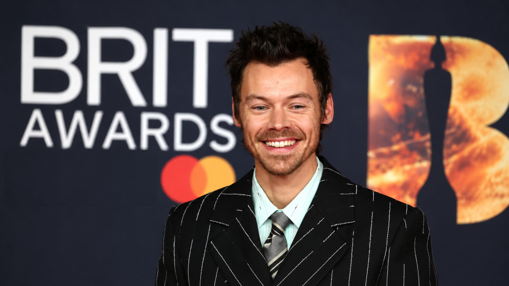 Tour-Doku über Harry Styles 