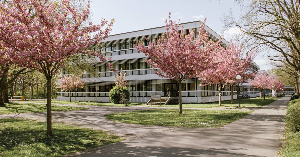 Nord-S-d-Kluft-an-Unis-Karlsruhe-Queerfreundlichste-Hochschule-Deutschlands