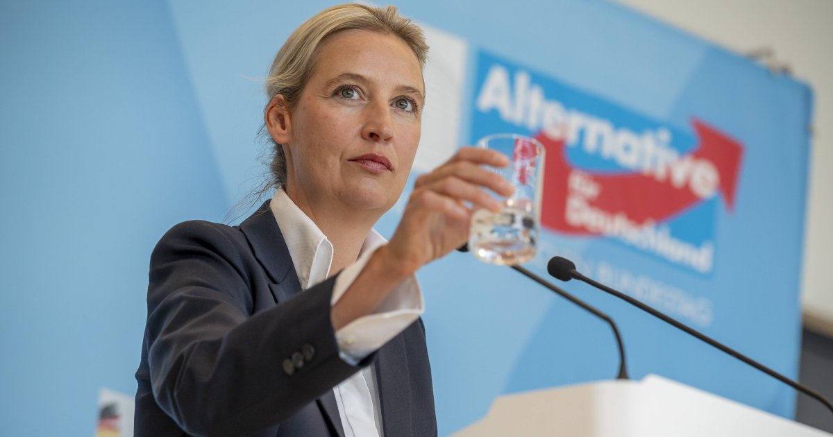 Umfragenmethoden-umstritten-Alice-Weidel-beliebteste-Politikerin-laut-INSA