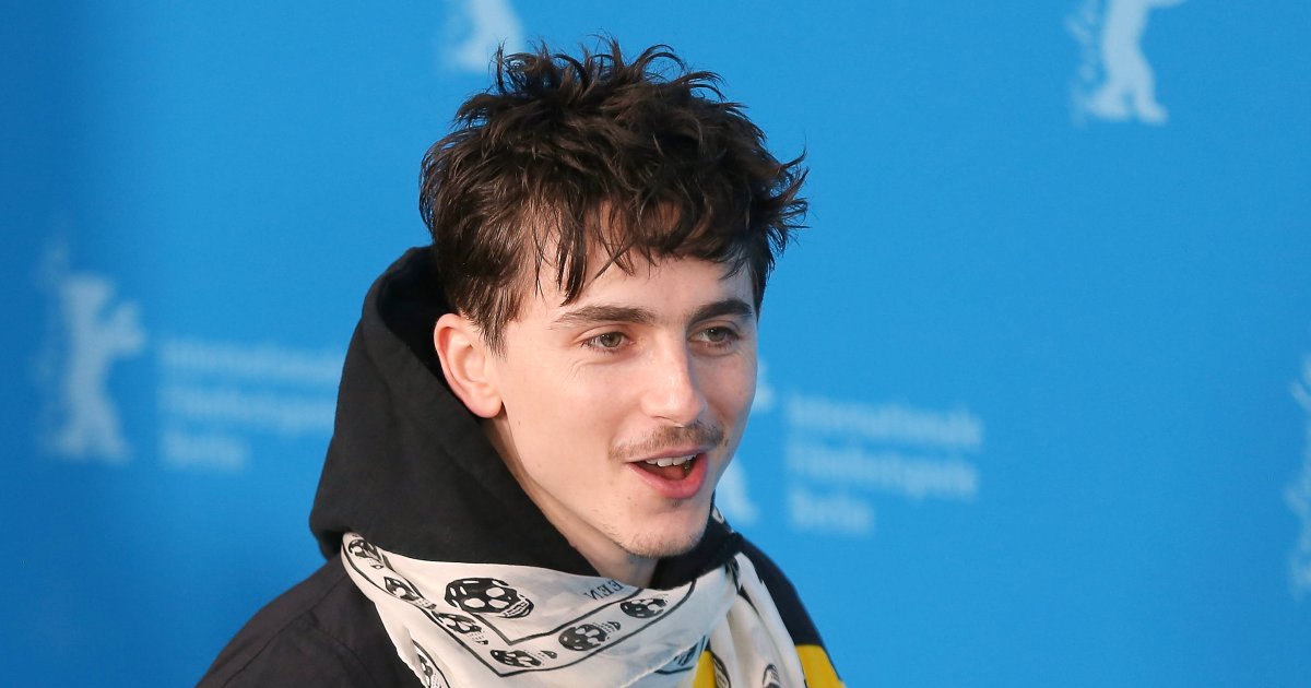 Ally-Timoth-e-Chalamet-Der-LGBTIQ-Unterst-tzer-wird-30-Jahre-alt