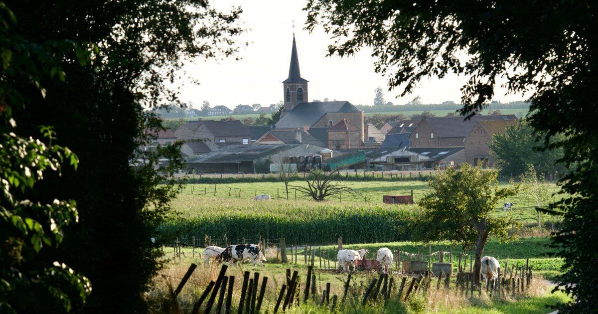 Queere-Jugendliche-in-Flandern-Zusammenschluss-zu-eigenen-Gruppen-im-l-ndlichen-Raum