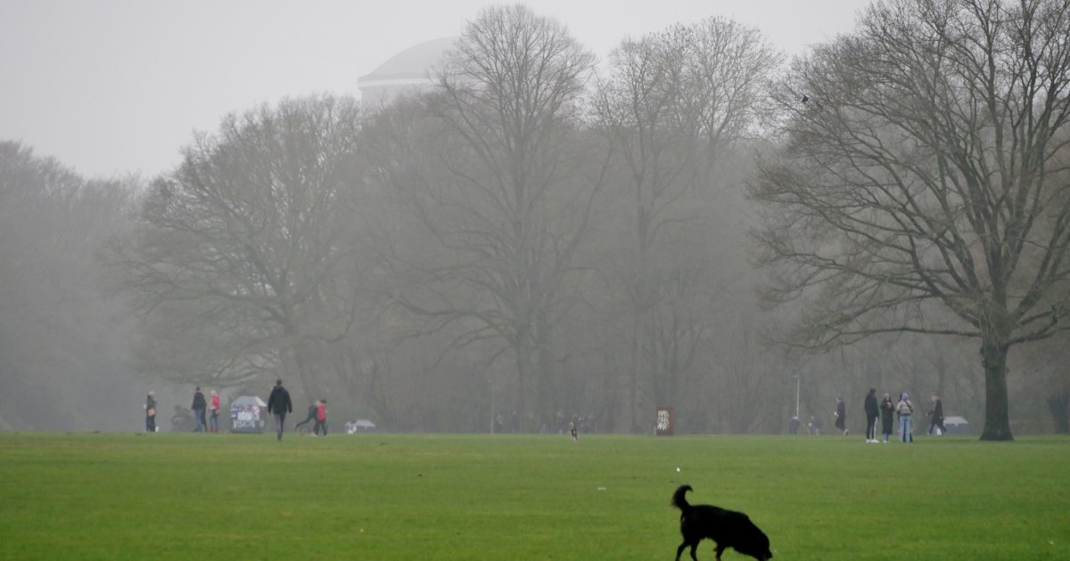 Opfer-mit-B-ller-angegriffen-Festnahmen-Homofeindlicher-Angriff-im-Hamburger-Stadtpark