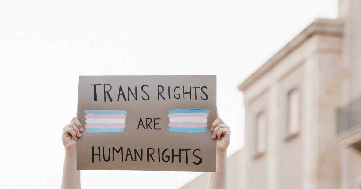 Meldesystem-sch-rt-Misstrauen-Texas-Anonyme-Plattform-berwacht-trans-Toilettengesetz