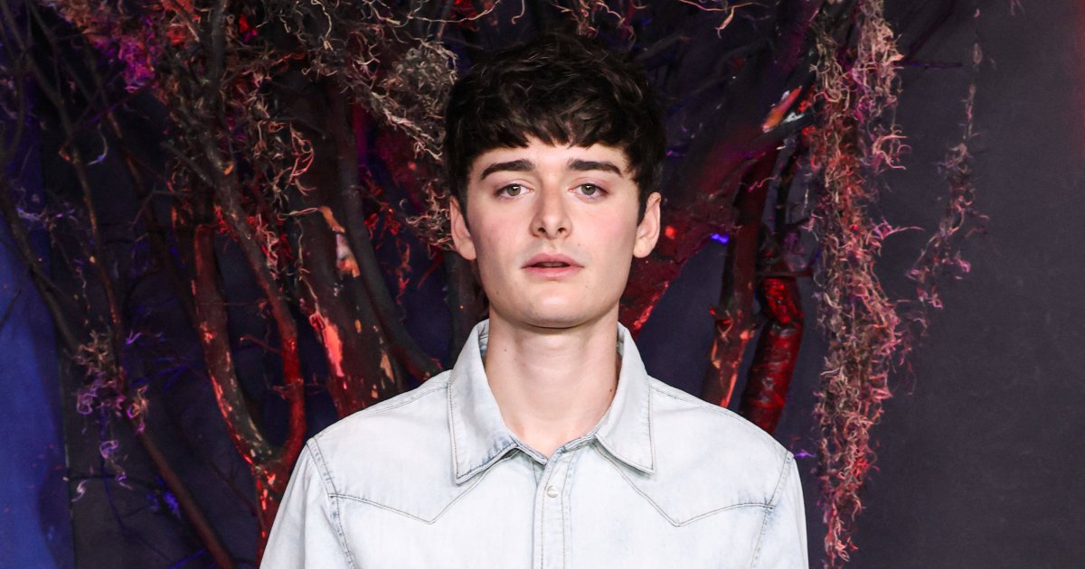 35-Stunden-in-der-Woche-Noah-Schnapp-Ger-cht-um-Grindr-Sucht-als-falsch-entlarvt