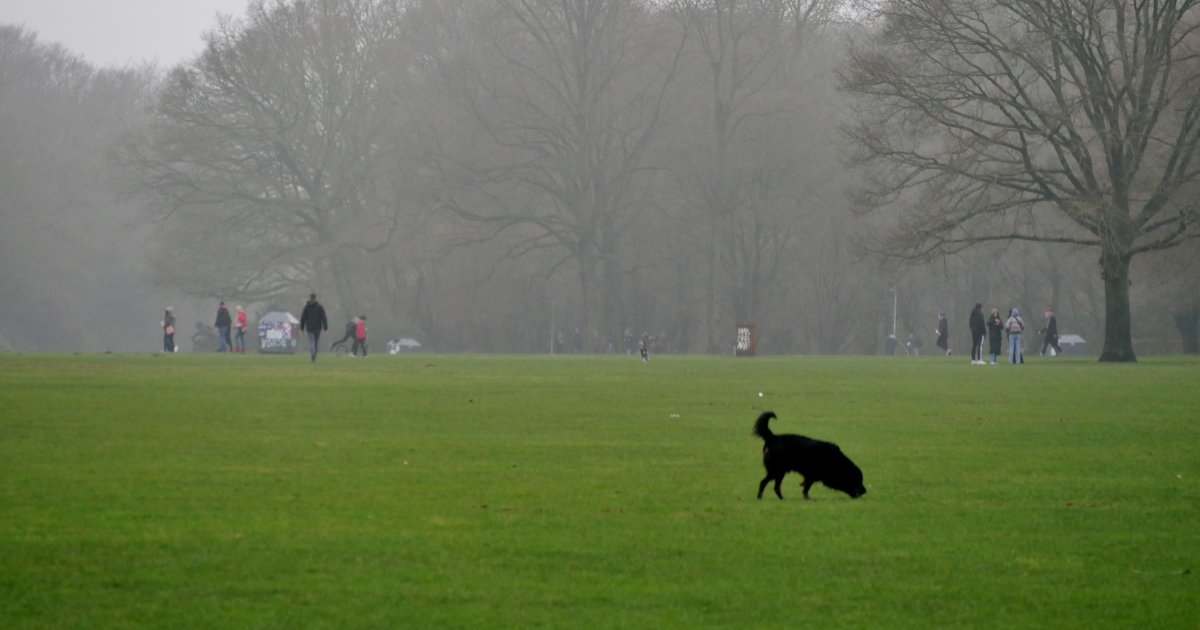 2-Jugendliche-festgenommen-Gewalt-aus-Hass-im-Hamburger-Stadtpark