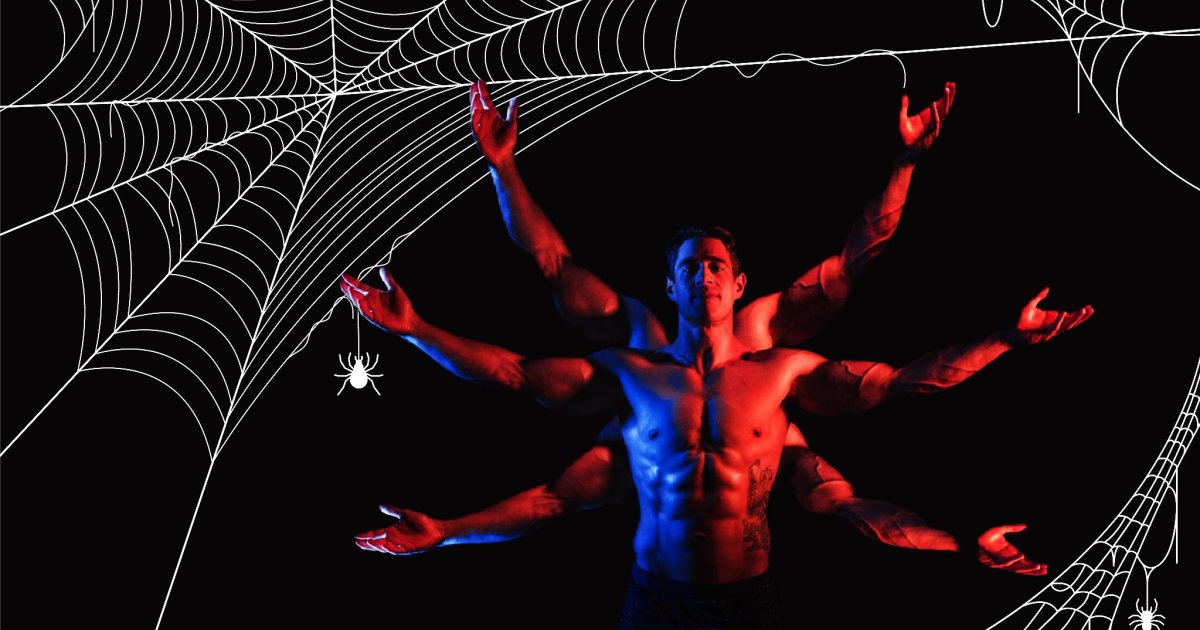 Im-schwulen-Spinnennetz-Emotionale-Manipulation-als-besondere-Bedrohung
