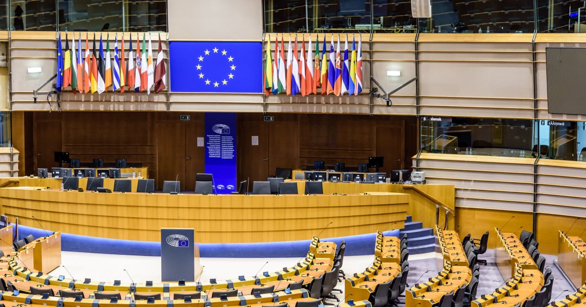 Warnung-vor-Extremisten-Forbidden-Colour-appelliert-an-Br-ssel-und-die-Community