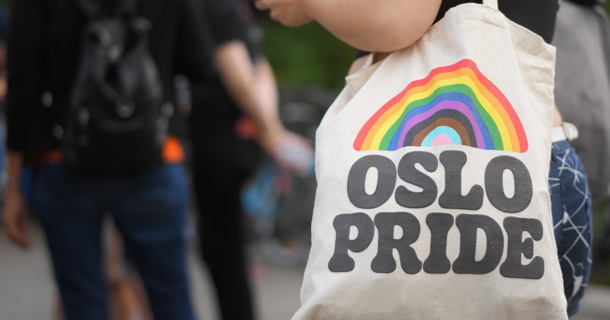 Drei-Jahre-nach-Anschlag-CSD-in-Oslo-Terror-Gehilfe-zu-30-Jahren-verurteilt