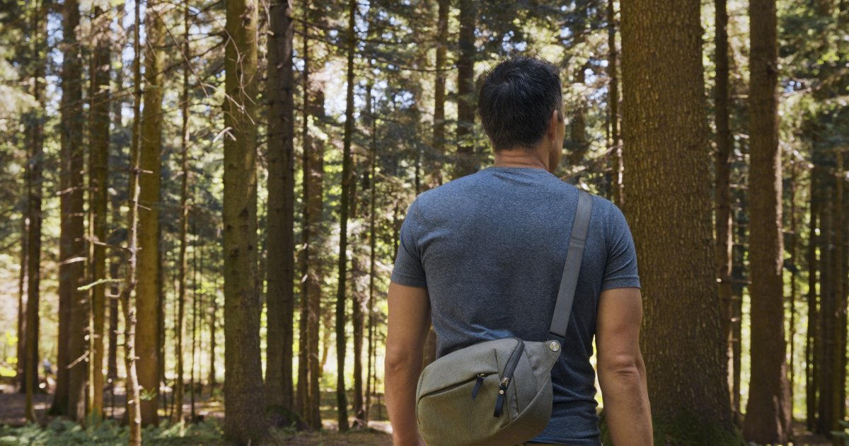 Datingfalle-in-der-Schweiz-Anklage-gegen-zwei-M-nner-die-Schwule-im-Wald-attackiert-haben-sollen
