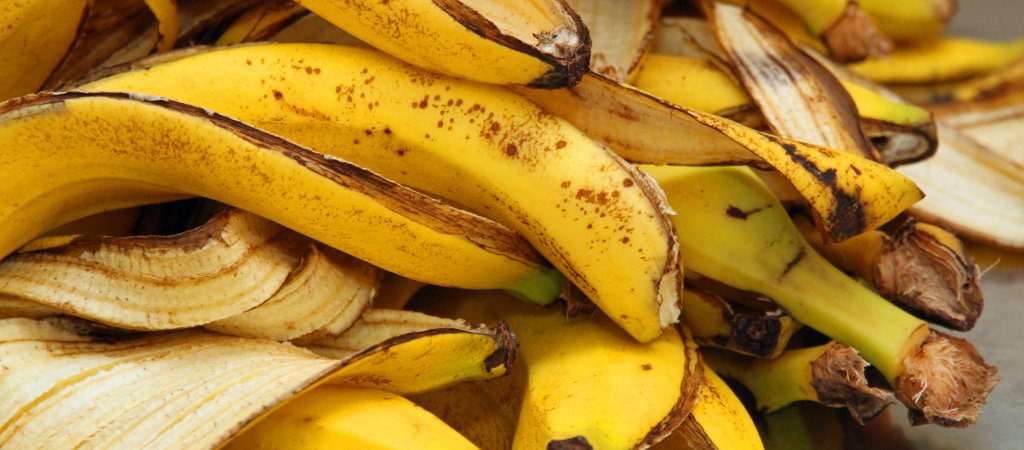 „Hört auf, euch mit Bananenschalen zu befriedigen!“