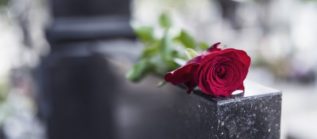 Friedhof in Zürich richtet „Regenbogen“ Themenfeld ein