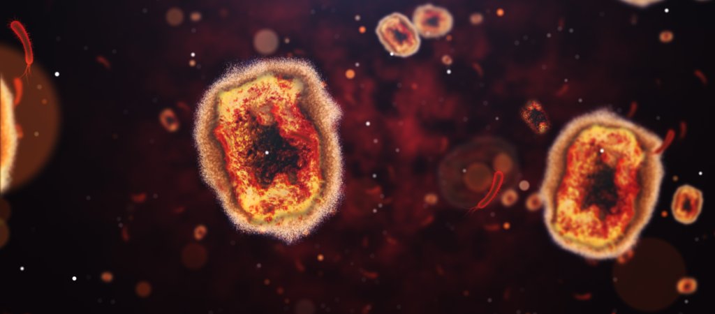 Warnung vor neuer Mpox-Virusvariante