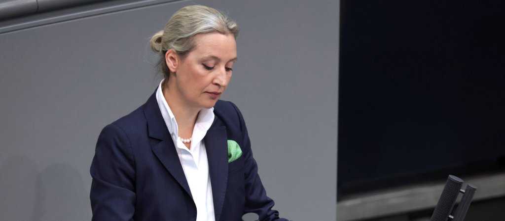 Scharfe Kritik an Weidel