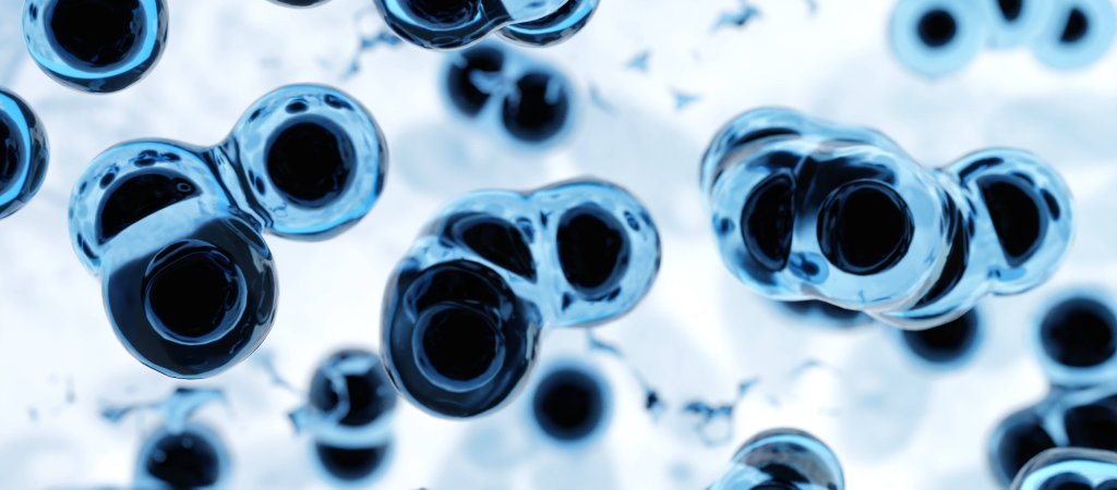 Mpox-Fälle in Berlin 