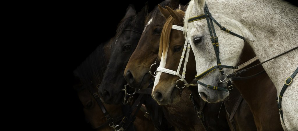 © istock / jill-hardcastle