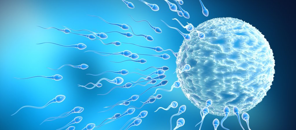 Fortschritt in der Forschung 