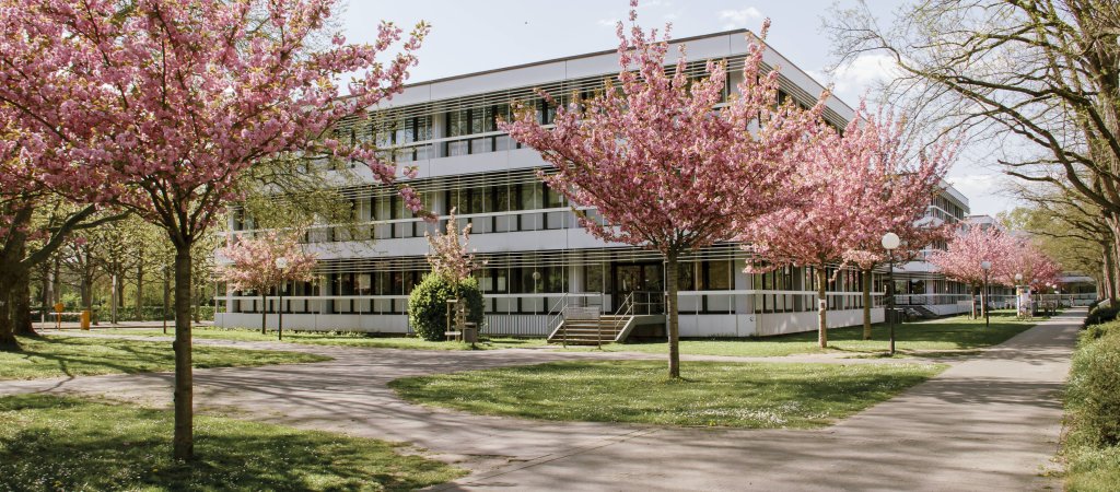 Karlsruhe: Queerfreundlichste Hochschule Deutschlands