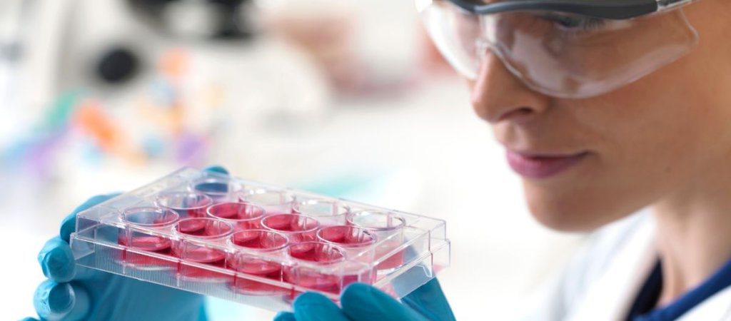 Nabelschnurblutstammzellen – so weit ist die Forschung heute © vita34 