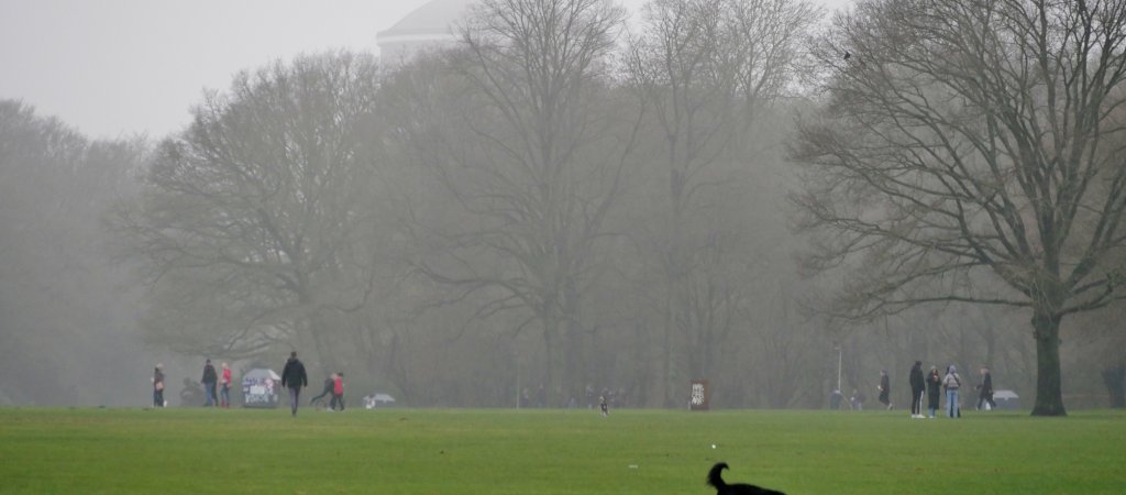 Festnahmen: Homofeindlicher Angriff im Hamburger Stadtpark