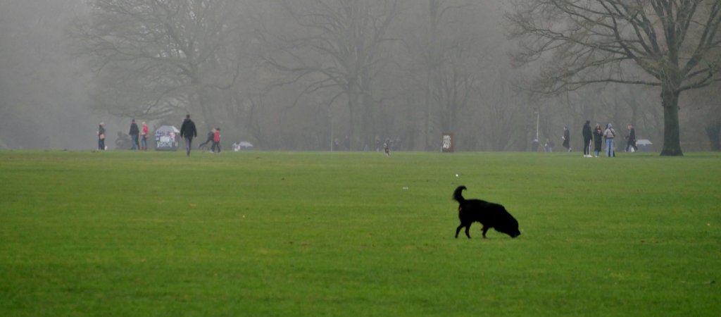 Stadtpark // © clarini