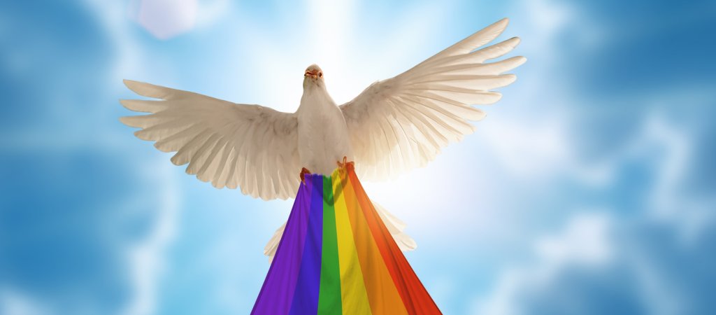 Kansas: Polyamore Taubenfamilie zieht alle Blicke auf sich