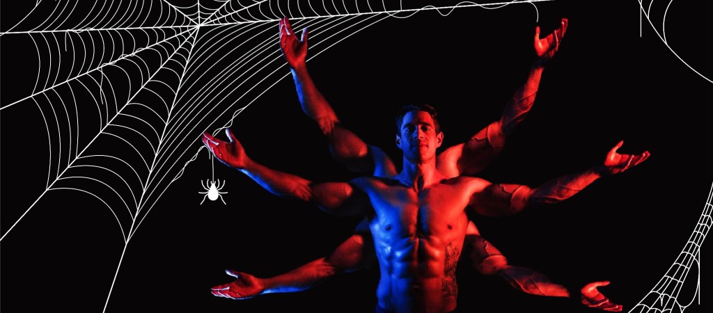 Im schwulen Spinnennetz 