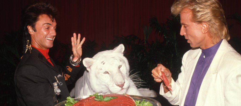Serie über Siegfried und Roy 
