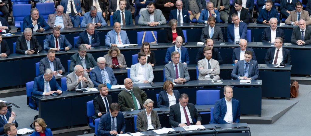AfD -Antrag im Bundestag 