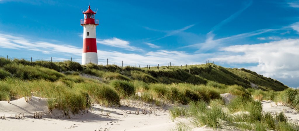 Neue LSVD+ Landesvorstände