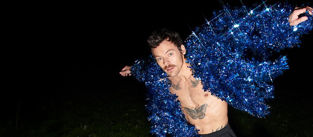 Harry Styles über Ruhm