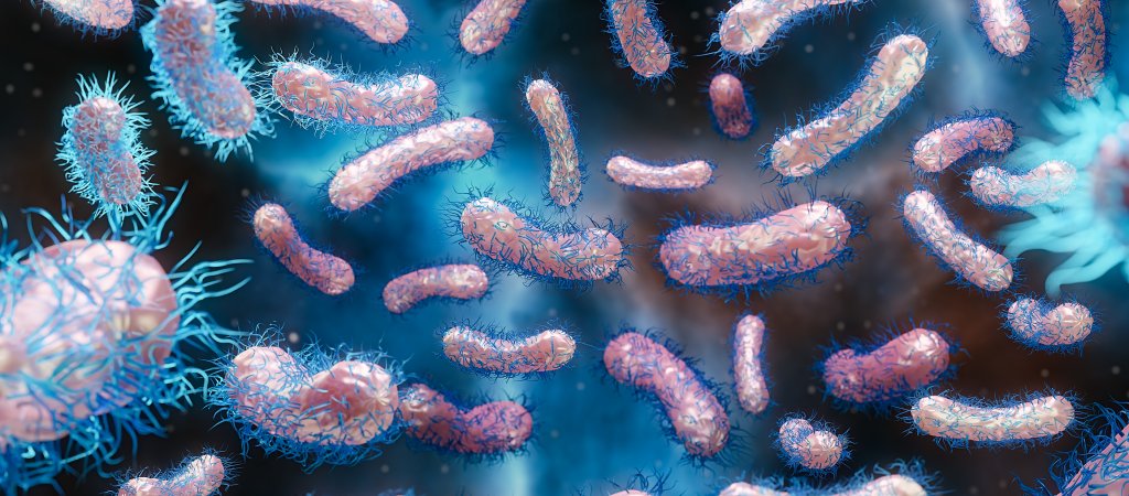 Shigella-Infektionen in England