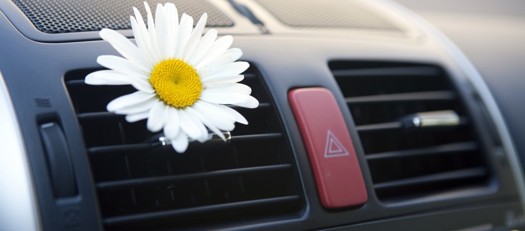 Schwul durch Autoluft­erfrischer