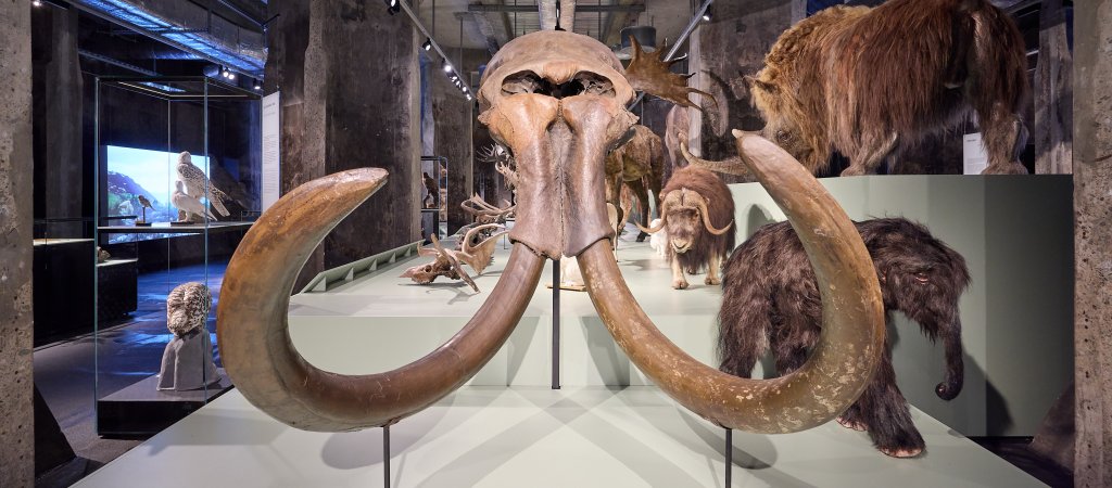 Ruhr Museum Essen 