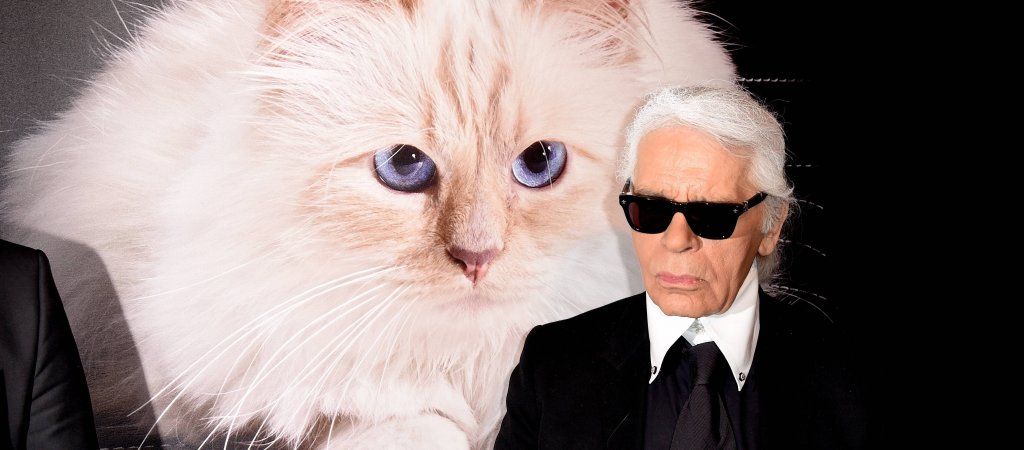 Krise bei Lagerfelds Katze 
