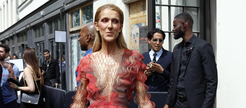 TV-Geschichte über Celine Dion 