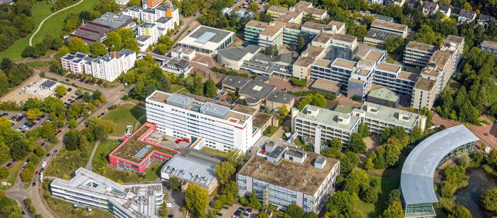 Proteste gegen Uni-Vorlesung