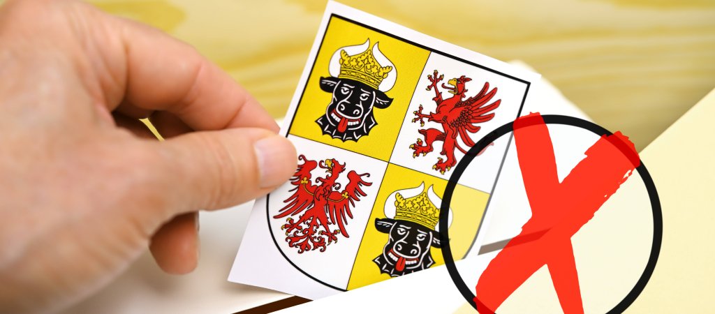 Wahlprüfsteine des LSVD+