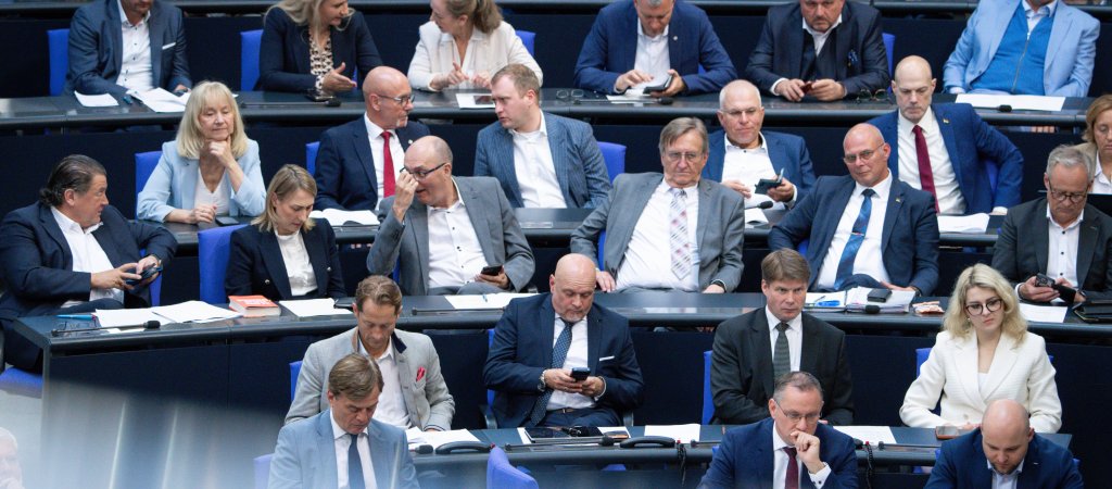 AfD will Jugendhilfe umbauen