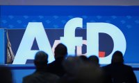 AfD Sachsen-Anhalt