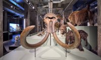 Ruhr Museum Essen 