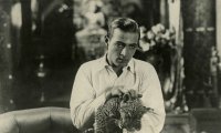 Stummfilmstar Rudolph Valentino 
