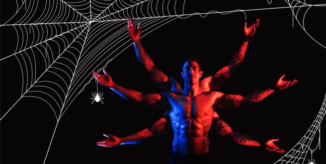 Im schwulen Spinnennetz 