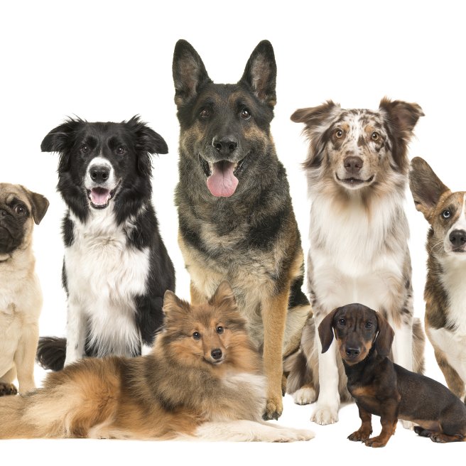 © istock / miraswonderland