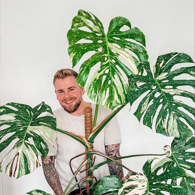 Schwuler Pflanzenliebhaber