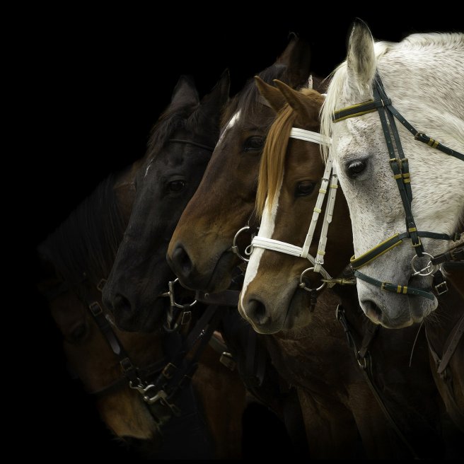 © istock / jill-hardcastle