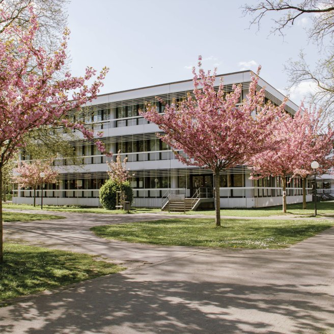 Karlsruhe: Queerfreundlichste Hochschule Deutschlands
