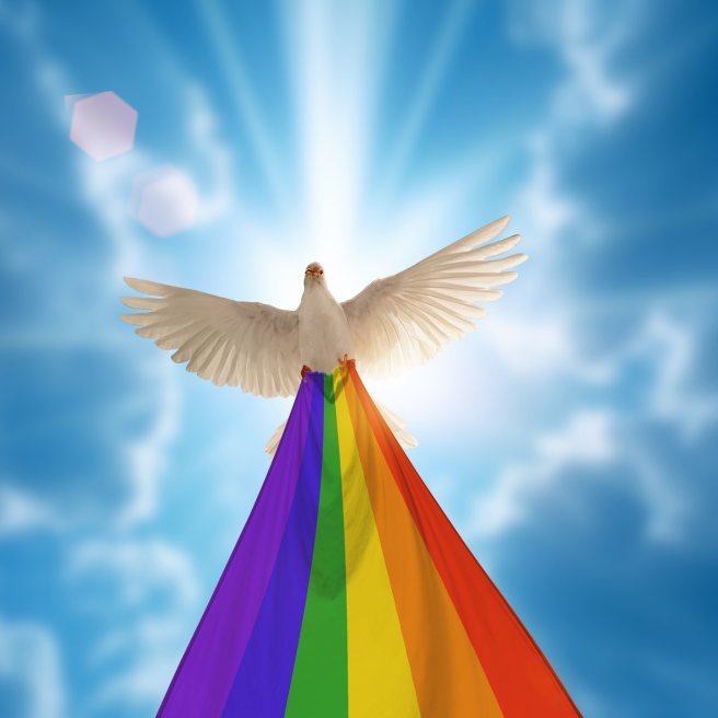 Kansas: Polyamore Taubenfamilie zieht alle Blicke auf sich