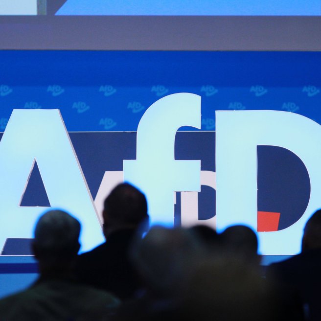 AfD Sachsen-Anhalt