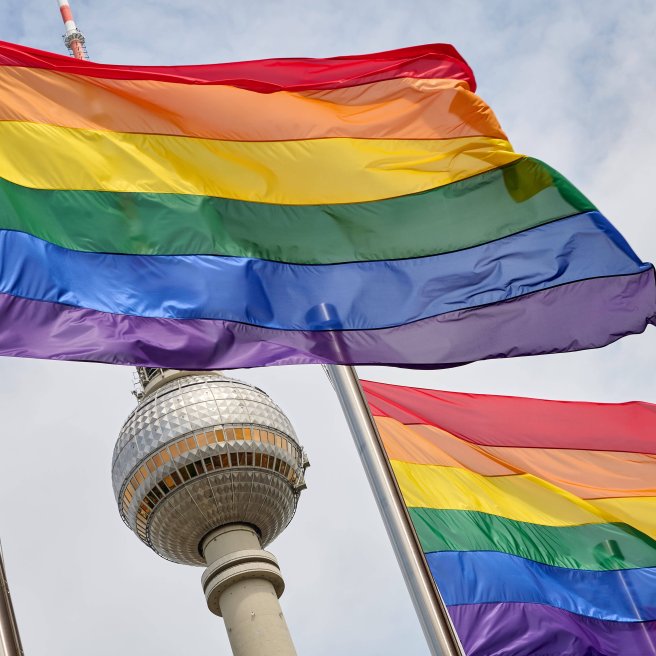 Kritik an Magnus-Hirschfeld-Gesellschaft